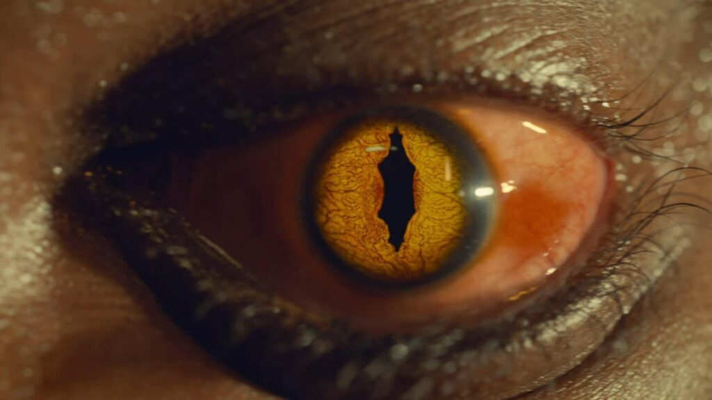 Dolls' eye after his metamorphosis